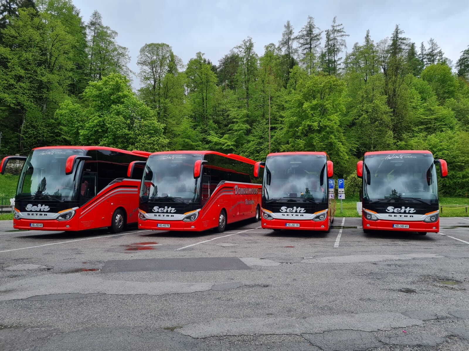 Vier rote Setra-Reisebusse Donaumoos Reisen am Waldparkplatz vor einer großen Vereinsfahrt